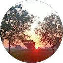 G V S. profile picture